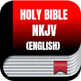 Bible NKJV (English), No internet connection icon