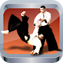 Aikido Training - Techniques