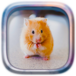 Symbolbild für Tiere Puzzle: Hamster