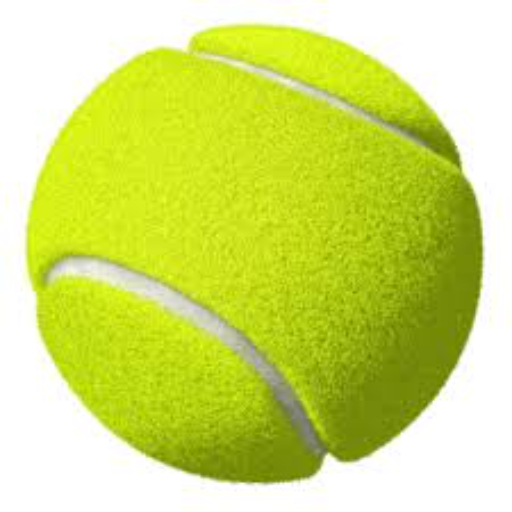 Tennis Players Stats logo