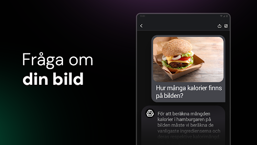 Skärmdumpsbild