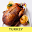 Turkey recipes for free app offline with photo Download on Windows