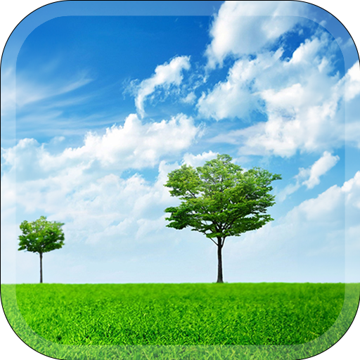 Nature Vibe Wallpaper logo
