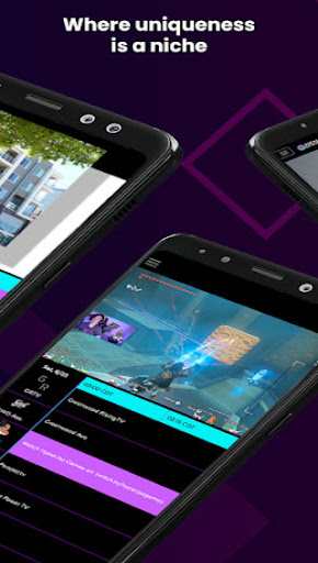 NicheTV Screen 2