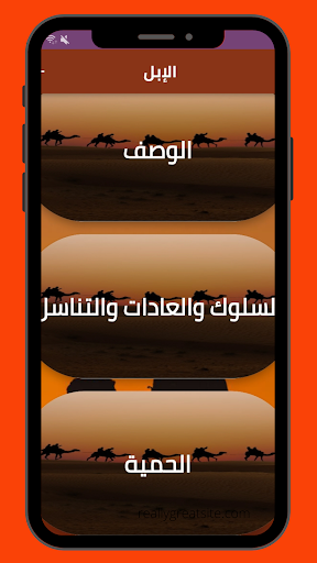 معلومات عن الإبل Screen 3