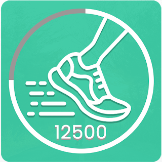 Step Counter- Daily Walking