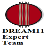 Dream 11 Expert's Teams icon