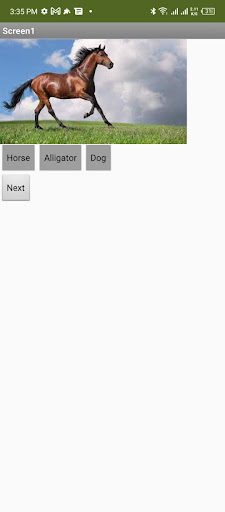 Guess the Animal Screen 2