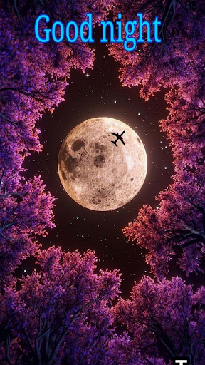 Android application Beautiful Good Night Pictures screenshort
