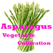 Asparagus Vegetable Cultivation
