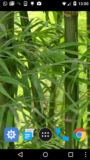 green forest wallpaper Screen 2