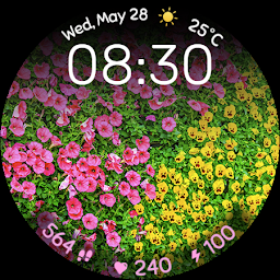 Spring Flowers - Screenshot Image