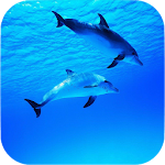 Cover Image of Télécharger Underwater Wallpapers 1.2 APK