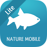Fish 2 LITE - Field Guide icon