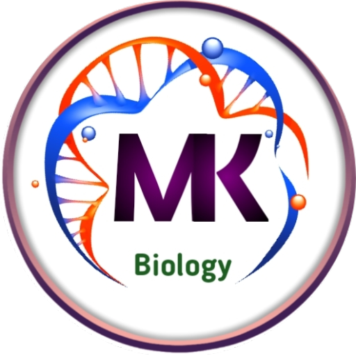 MK study21 logo