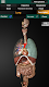 screenshot of Internal Organs in 3D Anatomy