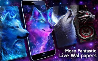 Night Sky Wolf Live Wallpaper