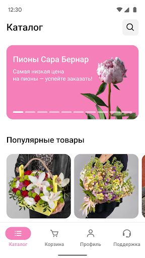 МегаЦвет24 Screen 2