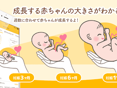 √ 妊娠六ヶ月 赤ちゃん 大きさ 242971-妊娠六ヶ月 赤ちゃん 大きさ