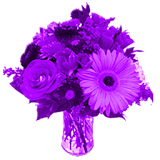 Purple Flowers Live Wallpaper icon