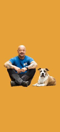 Android application Martin Rütter DOGS Berlin screenshort