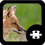 Animals Puzzle