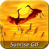 Sunrise GIF Collection icon