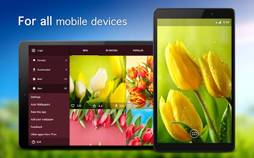 Screenshot of Tulip Wallpapers 4K