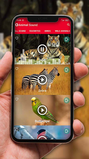 Animals Ringtones Offline