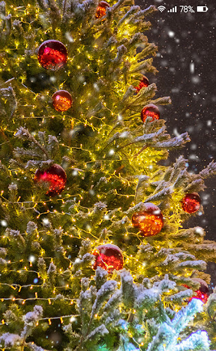 Android application Christmas Night Wallpaper screenshort