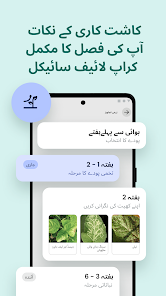 اسکرین شاٹ کی تصویر