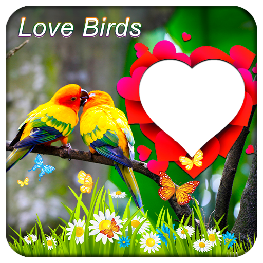 Love Birds Photo Frames  Icon