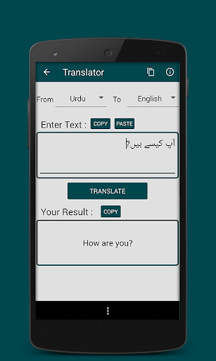 Screenshot of Urdu Hindi English Translator