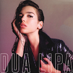 Cover Image of डाउनलोड Dua Lipa Best Song Mp3 1.4 APK
