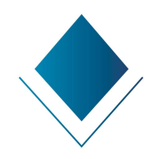 Vilesoft DON SURVEY logo