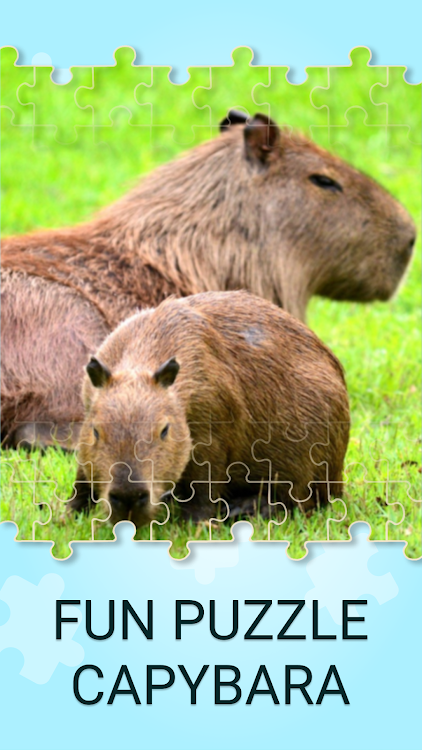Capybara Games Jigsaw Puzzles - 1.0.1093 - (Android)