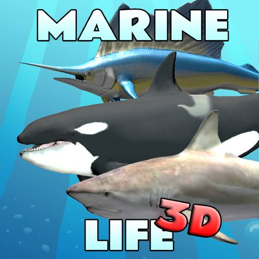 All About: Marine Life 3D  Icon