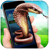 Snake In Phone Prank icon