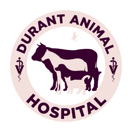 Durant Animal Hospital 300000.3.28 Icon