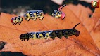 screenshot of Kids Insect Jigsaw Puzzle
