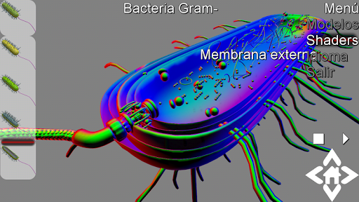 3D Gram Bacteria Explorer Screen 2