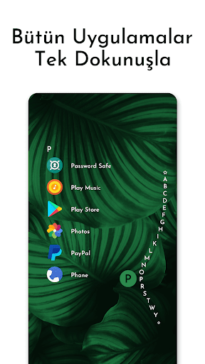 Niagara Launcher