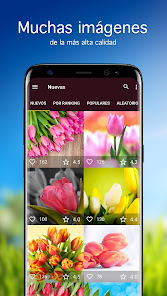 Screenshot 1 Fondos de pantalla con tulipán android