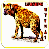 Hyena Sounds icon
