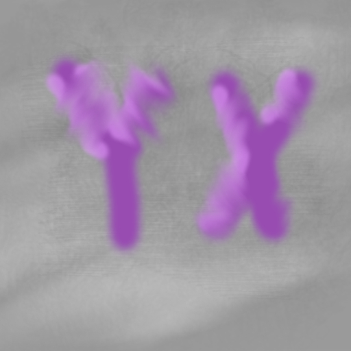 El YX logo
