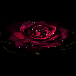 Icon image Shining Rose Blooming LWP