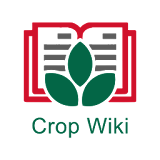 CropWiki EWS icon