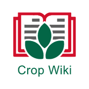 CropWiki EWS