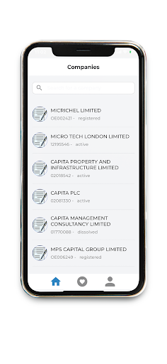Capital Accountants Screenshot