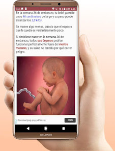 Imágen 6 Tu Embarazo Semana a Semana android